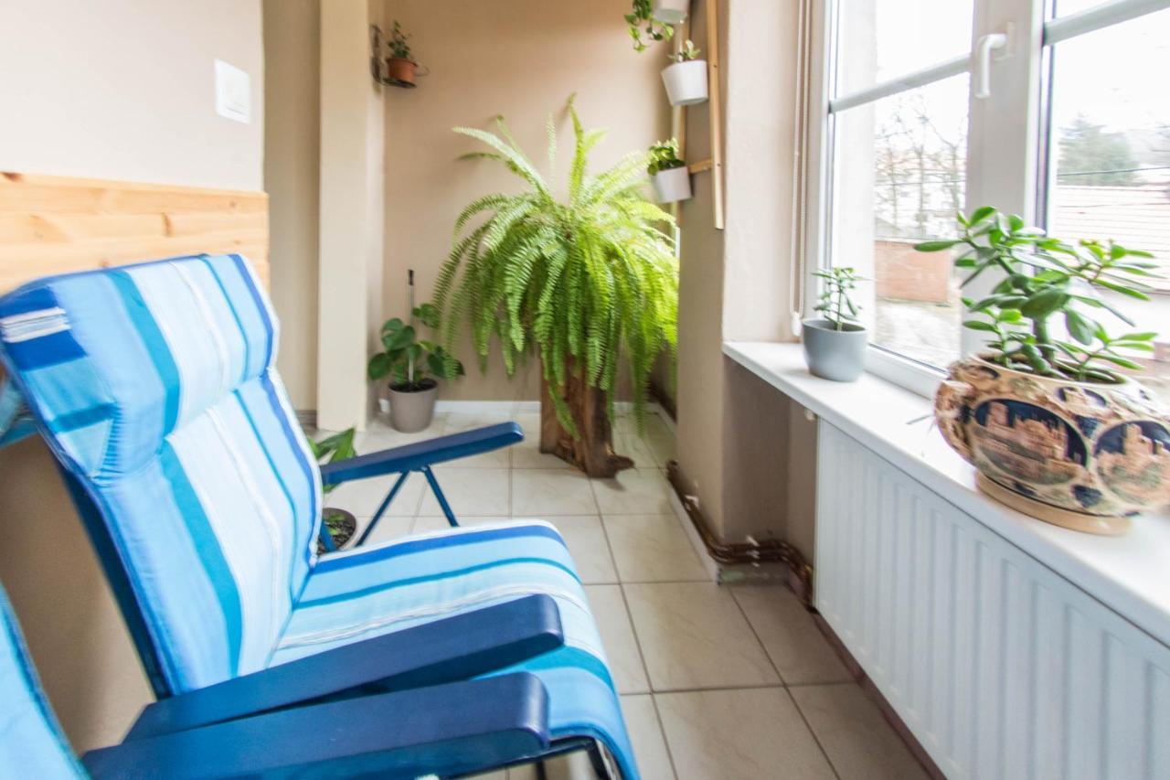 Apartamenty Izerskie - Ul. Wczasowa 8 Świeradów-Zdrój Exterior foto